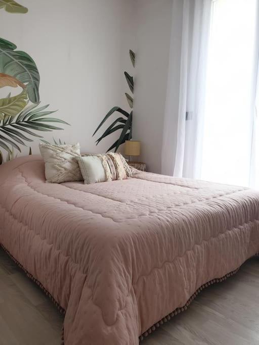 Anglet Biarritz Appartement Avec Piscine ภายนอก รูปภาพ
